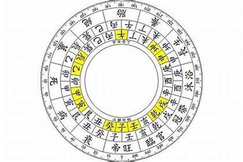 四庫 八字|四柱八字：四庫、辰、戌、丑、未詮釋